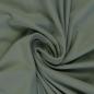 Preview: Swafing Vanessa Baumwoll Jersey Uni Altmint 265